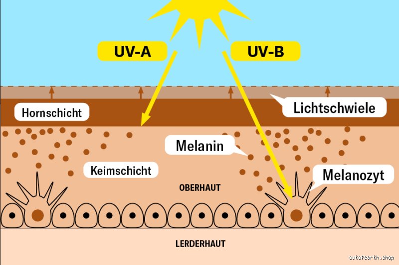 Was bräunt die Haut?