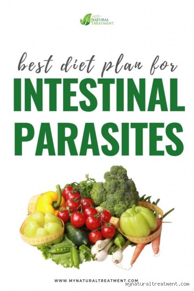 Was darf man essen, wenn man Parasiten hat?