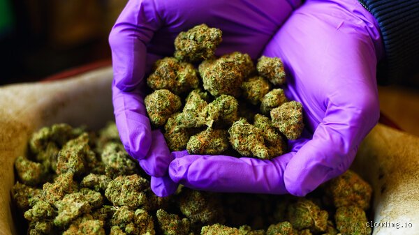 Was hilft wirklich gegen hartnäckigen Cannabisrauch? Meine besten Tipps