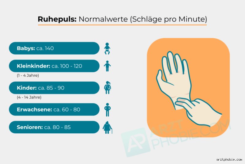 Was ist ein hoher Puls bei Frauen? Dein Herzschlag im Blick