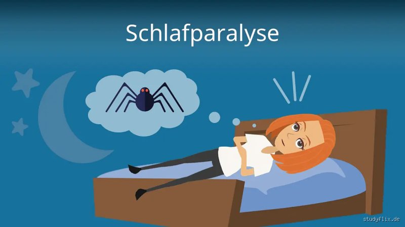 Was ist eine Schlafattacke wirklich und wie unterscheidet sich plötzliche Schläfrigkeit von Narkolepsie im Alltag?