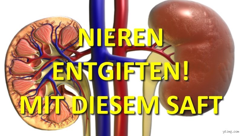 Was ist Gift für die Nieren? Strategien zum Schutz der renalen Gesundheit