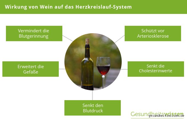 Was ist im Rotwein gesund?