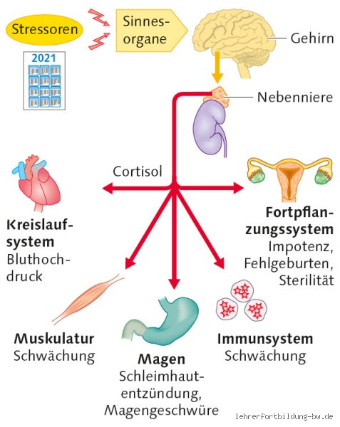 Was ist Langzeitstress?
