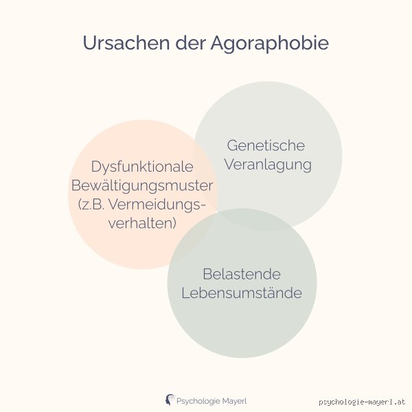 Was löst Agoraphobie aus?