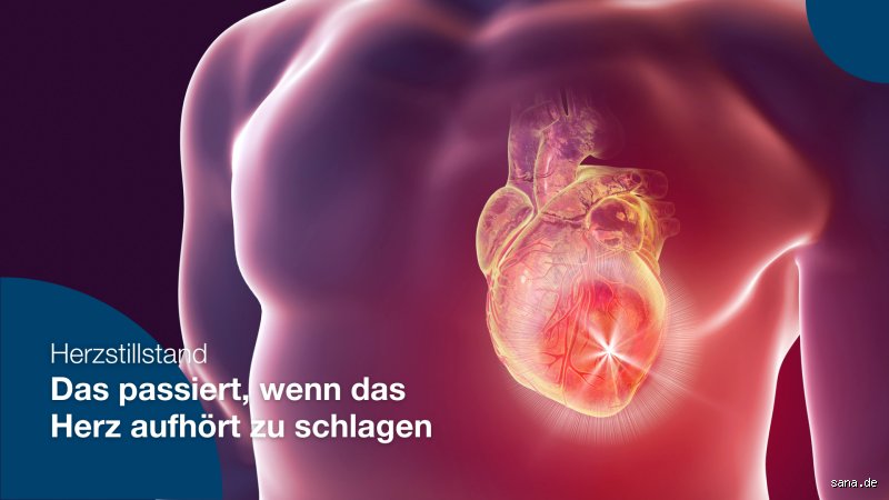 Was passiert bei einem Herzstillstand im Körper?