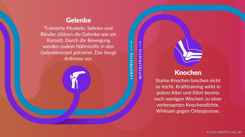 Was passiert mit den Gefäßen beim Sport? Die verborgenen Veränderungen in deinem Kreislauf