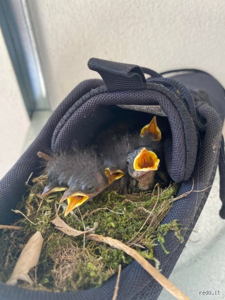 Unglaublich, was passiert, wenn du 2 Wochen nicht rauchst!