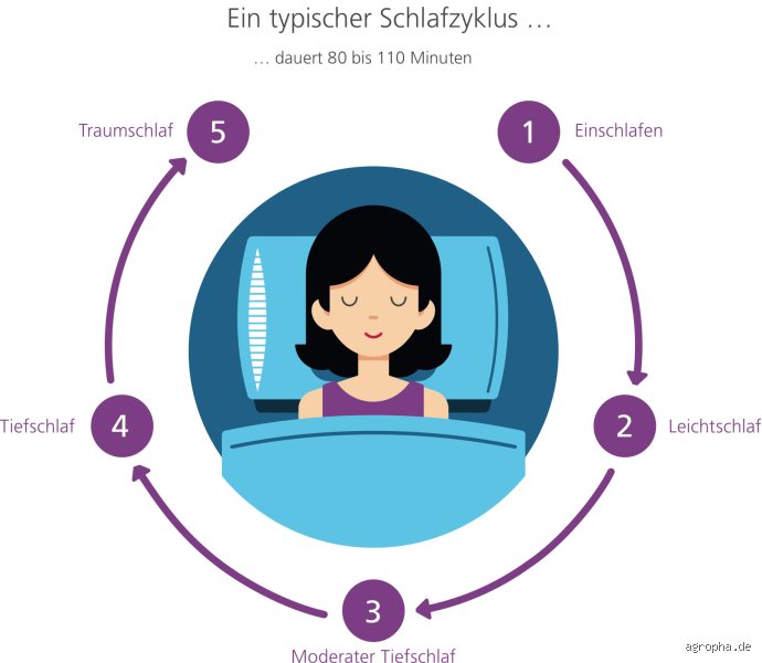 Was passiert, wenn man dauerhaft nur 4 Stunden schläft? Die schonungslose Wahrheit