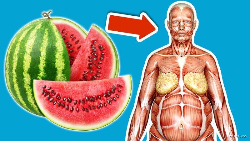 Was passiert wenn man viel Melone isst?