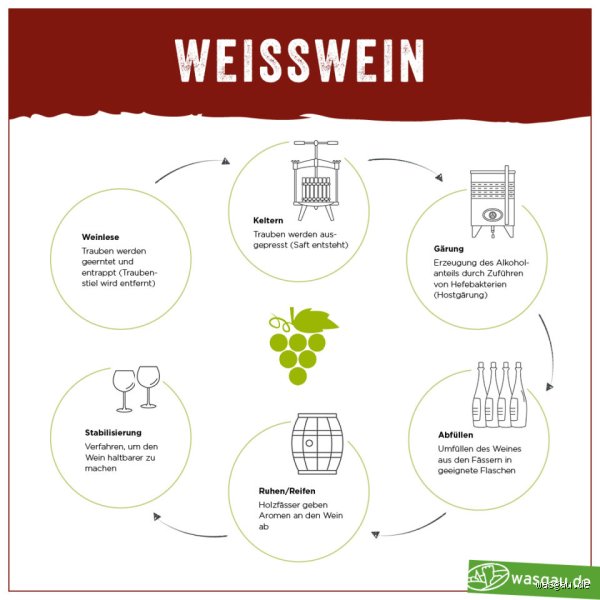 Was passiert, wenn man wirklich zu viel Wein trinkt? Die ehrliche und ungeschminkte Wahrheit