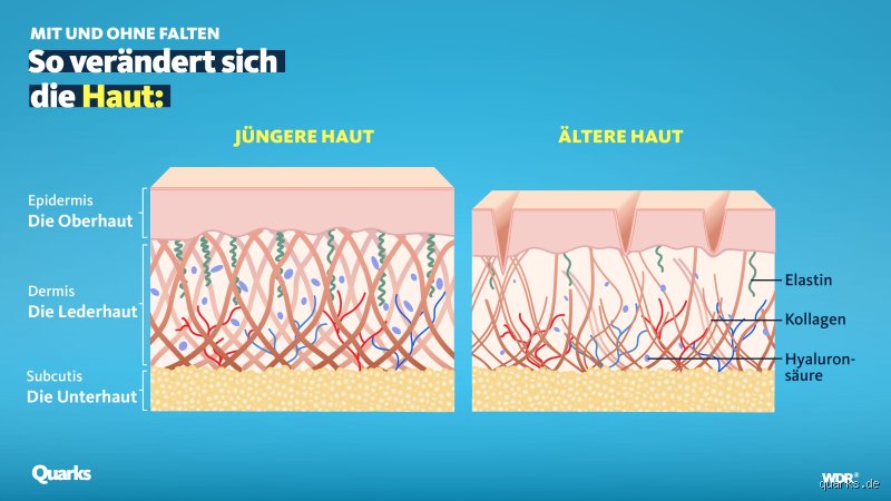Was passiert wenn man zu wenig Serotonin hat?