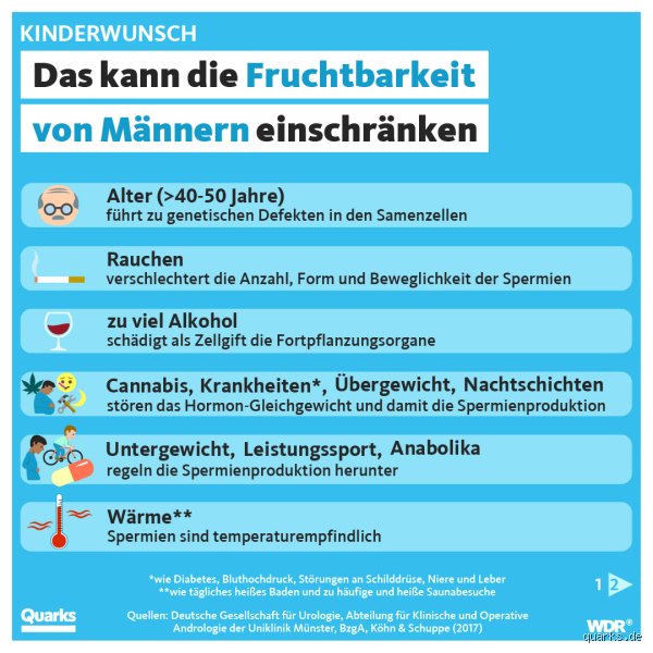 Was reduziert die Fruchtbarkeit des Mannes wirklich? Ein schonungsloser Blick auf die Fakten