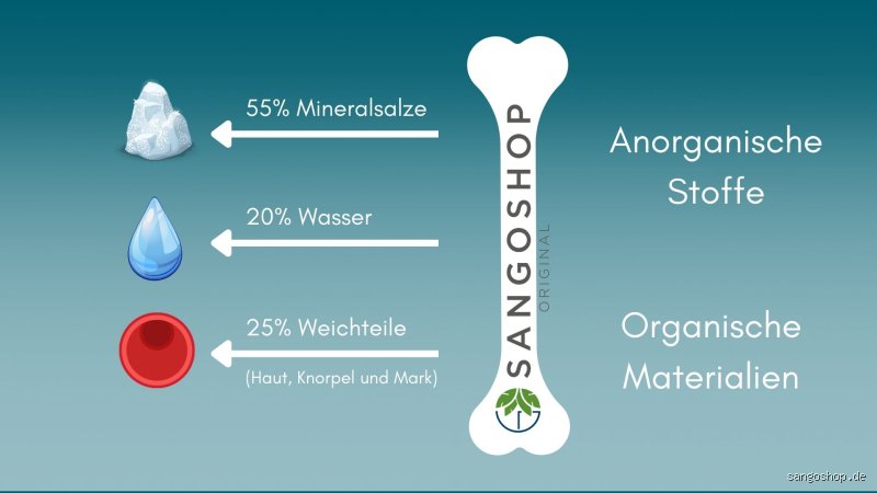 Was stärkt die Knochen im Alter?