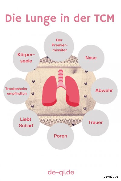 Was stärkt die Lunge nach TCM-Prinzipien? Ein tiefer Einblick