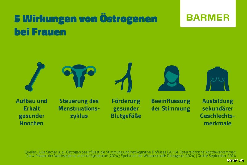 Was tun bei zu viel Östrogen Frau?