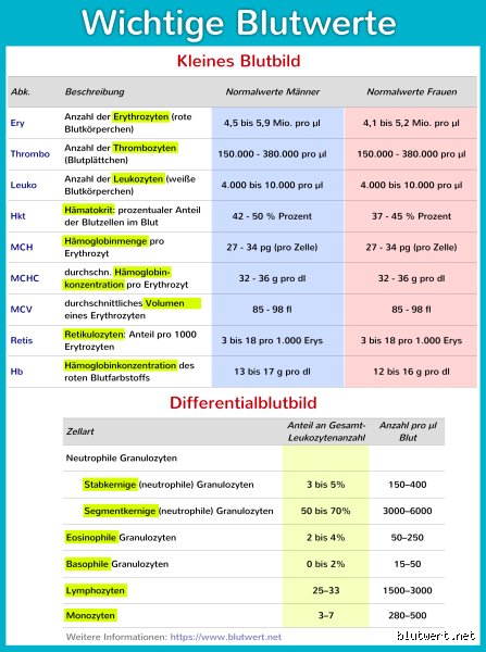 Welche Blutwerte sind erhöht beim Rauchen?