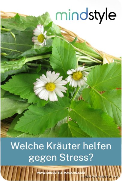 Welche Heilpflanze bei Stress?