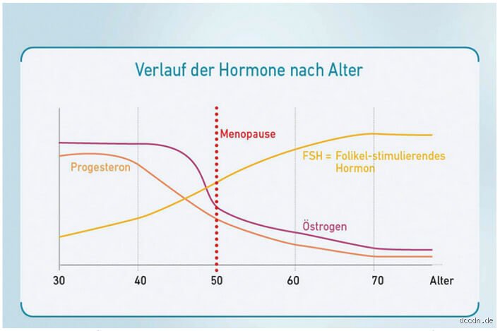 Welche Hormone sind Schuld an der Gewichtszunahme in den Wechseljahren?