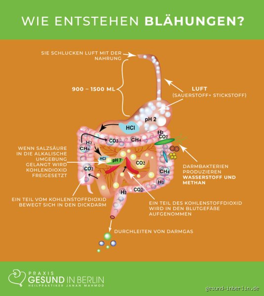 Welche Krankheit kann hinter Blähungen stecken?