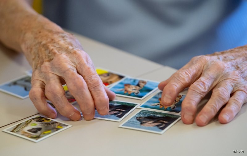 Welche Krankheiten fördern Demenz?