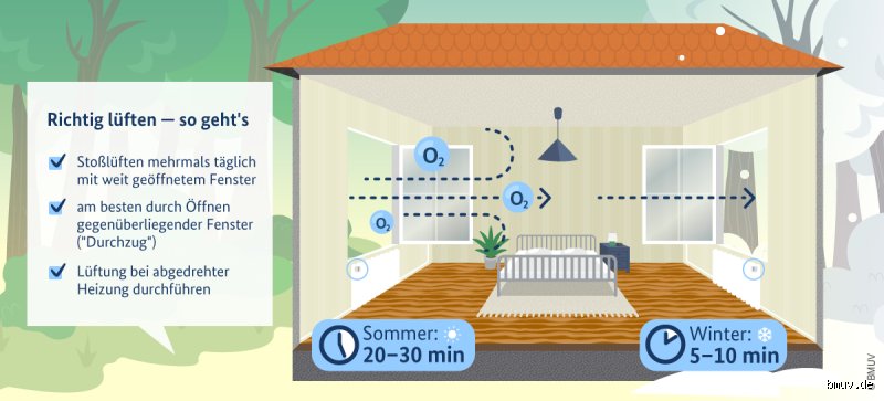 Welche Luft ist am gesündesten?