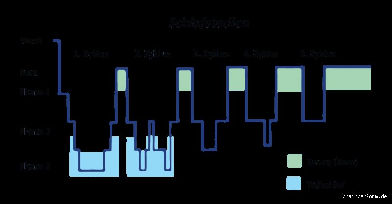 Der erste Schritt ins Land der Träume: Welche Schlafphase kommt zuerst?