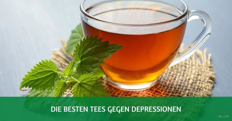 Welche Tee für Psyche? Die besten Sorten für mentale Balance und Nervenstärke