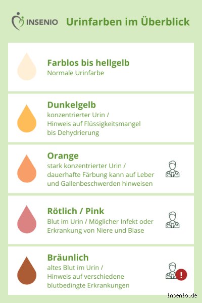 Welche Uringerüche gibt es?