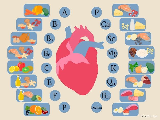 Welche Vitamine benötigt das Herz?