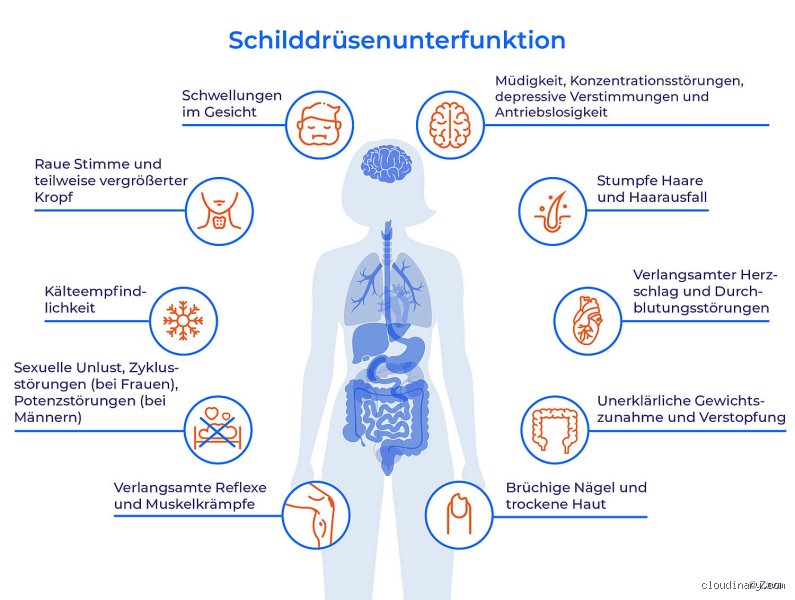 Welche Warnsignale bei Schilddrüsenunterfunktion?