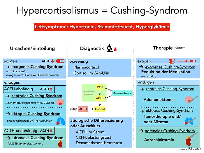 Welche Werte sind bei Cushing erhöht?
