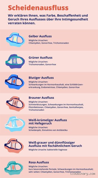 Welcher Ausfluss sagt was: Der ultimative medizinische Guide zur weiblichen Intimgesundheit und Zyklusbeobachtung