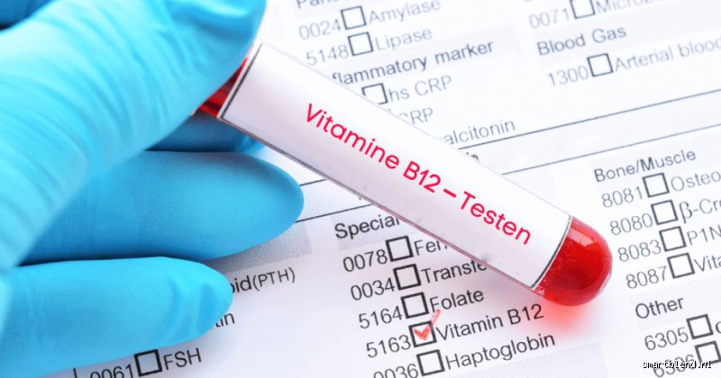 Welcher Blutwert zeigt Vitamin B12 an?