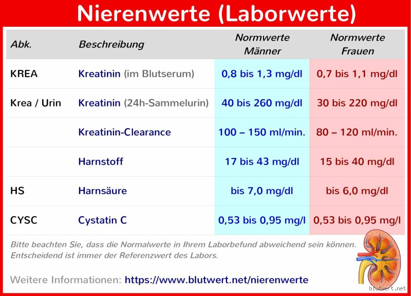 Welcher Kreatininwert ist kritisch?