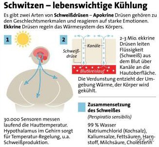Welcher Mangel bei viel Schwitzen?
