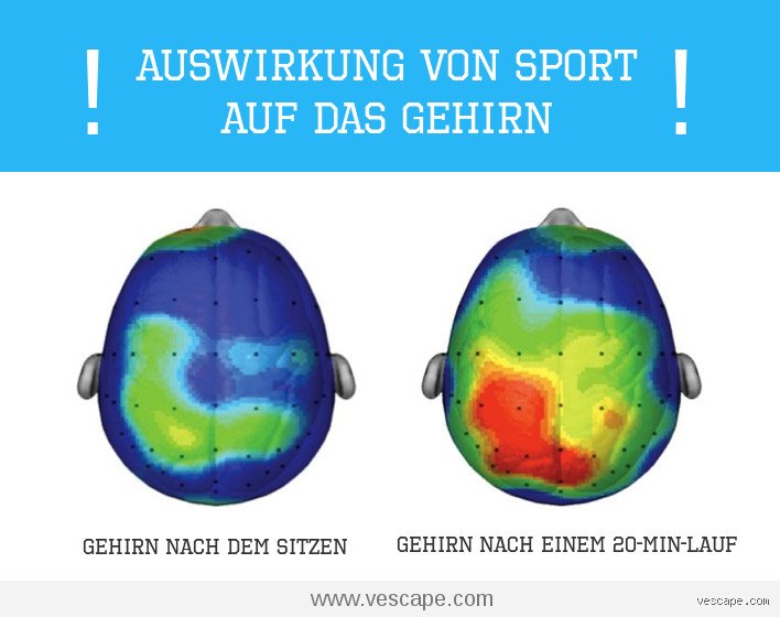 Welcher Sport ist gut fürs Gehirn?