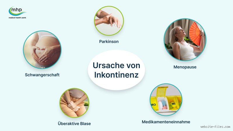 Welches Hormon fehlt bei Inkontinenz?