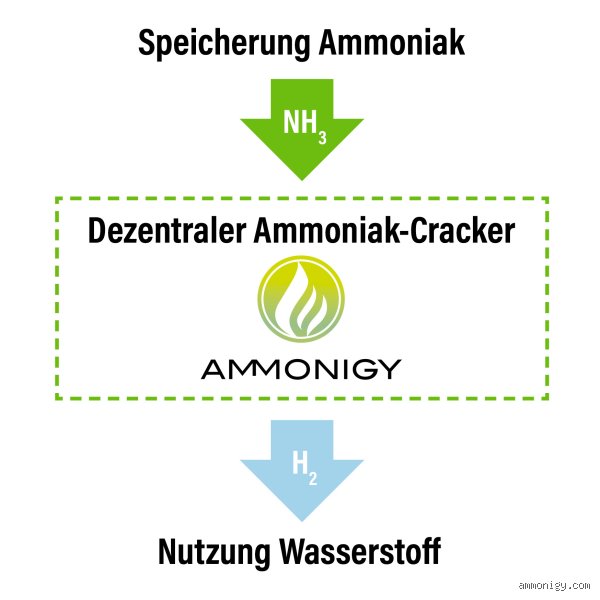 Welches Organ baut Ammoniak ab? Die überraschende Wahrheit über unsere innere Entgiftungszentrale