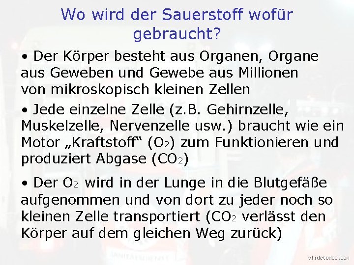 Welches Organ braucht am meisten Sauerstoff?