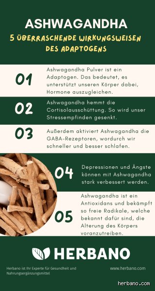 Wer sollte Ashwagandha nicht nehmen? Die kritische Perspektive