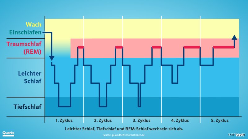 Werde immer nach 3 Stunden Schlaf wach?