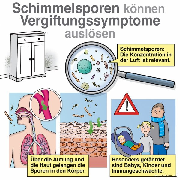 Wie äußert sich eine Schimmelpilzvergiftung? Symptome, Pathophysiologie und medizinische Fakten