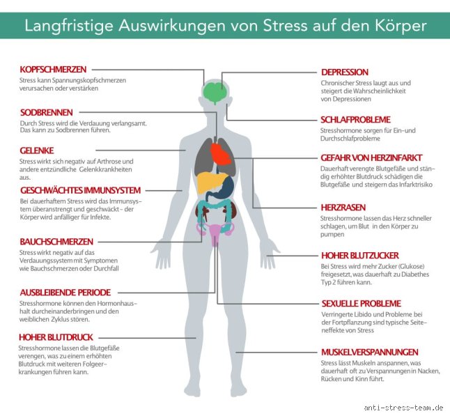Wie äußert sich Stress körperlich? Symptome, Mechanismen und systemische Folgen