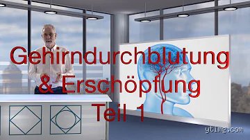 Alarmsignal Durchblutungsstörung: Wie dein Körper leise um Hilfe ruft (und was du jetzt tun musst!)