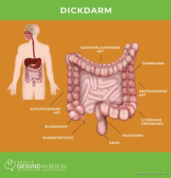 Wie fühlen sich Dickdarm Schmerzen an?