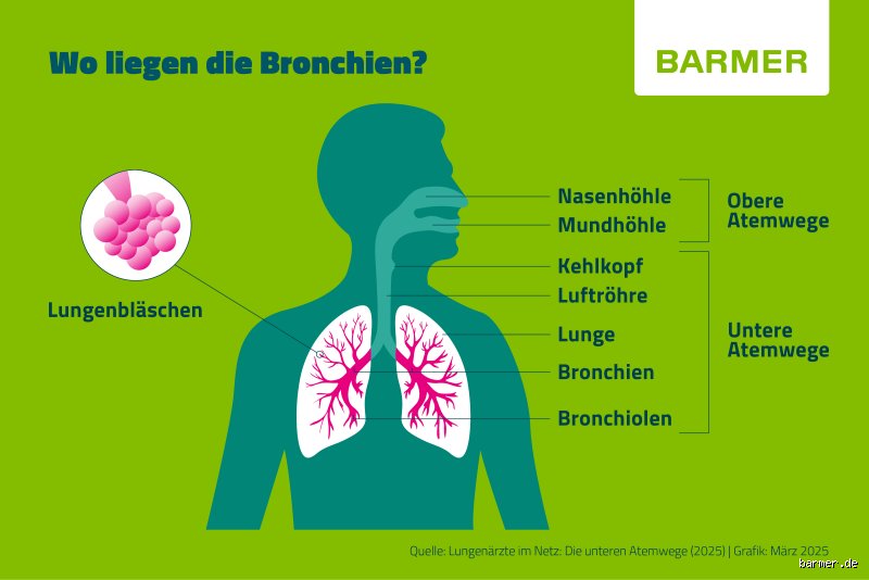 Wie fühlen sich gereizte Bronchien an? Symptome, Ursachen und medizinische Einordnung