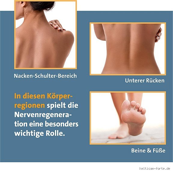Wie fühlt es sich an, wenn sich ein Nerv regeneriert?