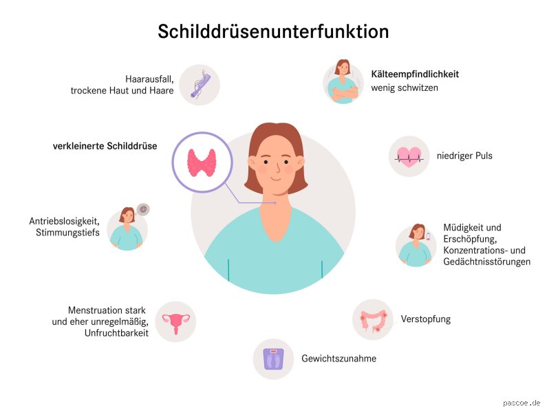 Wie fühlt man sich bei einer Schilddrüsenunterfunktion?