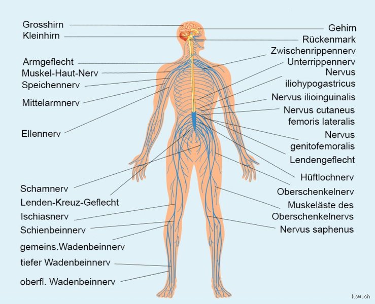Wie fühlt sich ein überlastetes Nervensystem an?